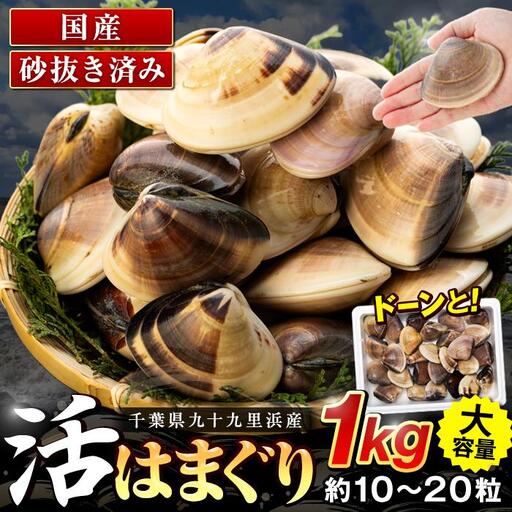 千葉県産活ハマグリ 1kg