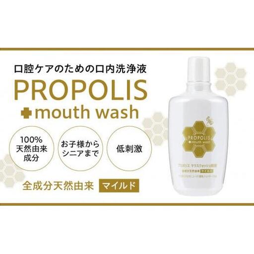 L01-031 マウスウォッシュマイルド300mL×1本
