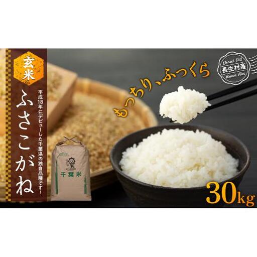 ふさこがね(玄米30kg)令和8年産