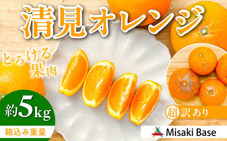 【先行受付】【※超訳あり】清見オレンジ 約5kg ※離島への配送不可 （2027年3月下旬より順次発送）IKTAB009 