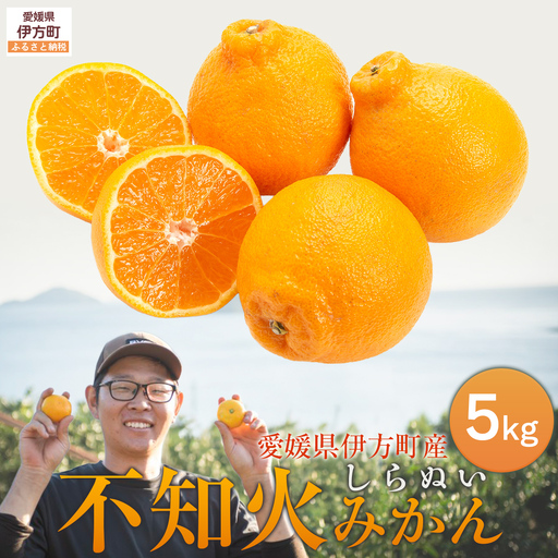 【先行予約】【数量限定】不知火5kg（石崎農園）※離島への配送不可 （2027年2月10日より順次発送予定） IKTAG002 