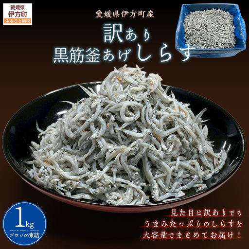 訳あり黒筋釜あげしらす