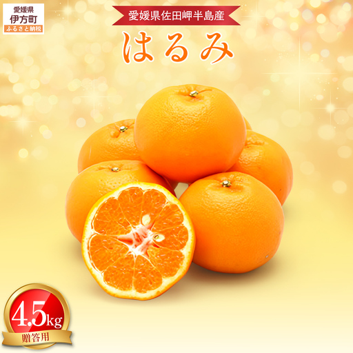 【先行予約】【農家直送】愛媛県産 はるみ 贈答用 4.5kg（2027年1月下旬～2月上旬に順次発送予定） IKTC009 