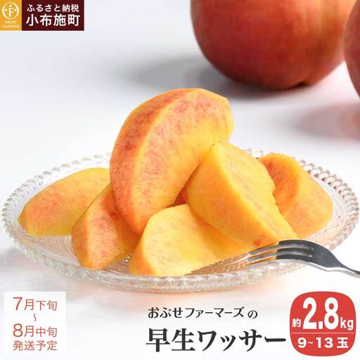 早生ワッサー 約2.8kg 9〜13玉 [おぶせファーマーズ]果物 フルーツ クール便 冷蔵便 長野県産 信州産 令和8年産[2026年7月下旬〜8月中旬発送][F-38]