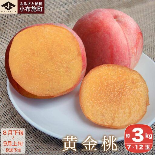 黄金桃 約3kg 7〜12玉 [小布施屋] 桃 もも モモ フルーツ 果物 令和8年産 [2026年8月下旬〜9月上旬発送] [A-11]