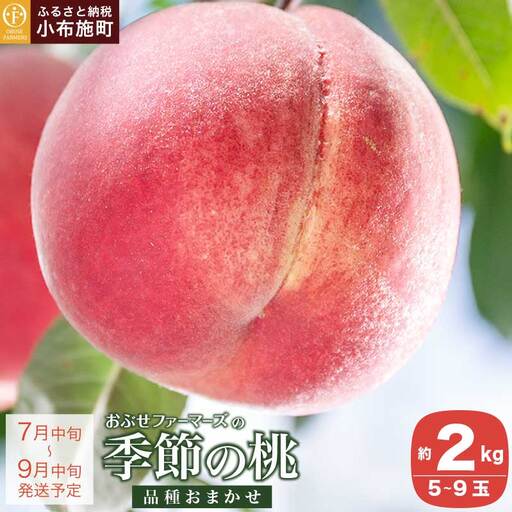 季節の桃 約2kg 5〜9玉[ おぶせファーマーズ ]桃 もも モモ ピーチ フルーツ 果物 たまき なつき あかつき 川中島白鳳 なつっこ 川中島白桃 黄金 だて白桃 先行予約 長野県産 信州産 クール便 冷蔵便 お取り寄せ 産地直送 数量限定 産地 直送 令和8年[2026年7月中旬〜9月中旬発送][F-61]