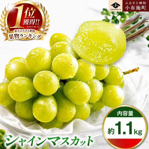 シャインマスカット 約1.1kg 2房 [小布施屋] 令和8年産 [2026年10月上旬〜11月上旬発送][A-8b]