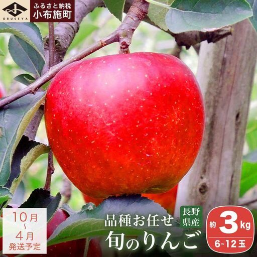 長野県産 季節の旬のりんご 約3kg 6〜12玉[小布施屋]令和8年産 [2026年10月〜2027年4月発送][H-72]