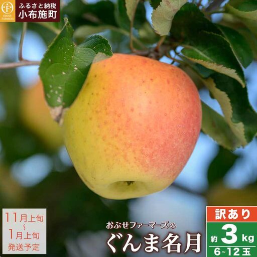 [訳あり] ぐんま名月 約3kg 6〜12玉 [おぶせファーマーズ] 不揃い 規格外 家庭用 果物 フルーツ りんご リンゴ 林檎 長野県産 信州産 令和8年産 [2026年11月上旬〜12月下旬発送] [FH-55]