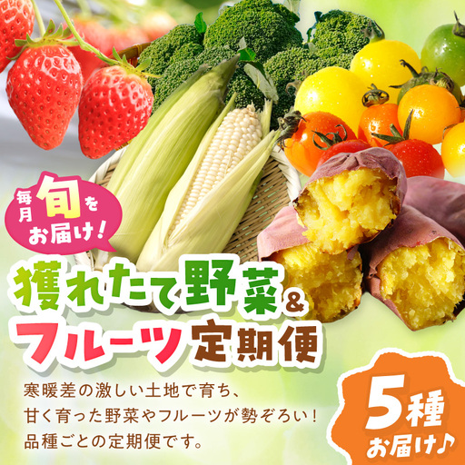 [旬の野菜定期便]イチゴやヤサイ 全5種 旬野菜