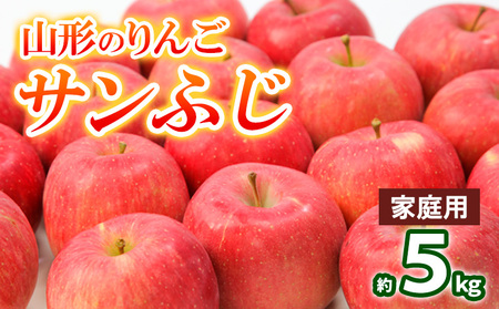 【家庭用】山形のりんご サンふじ 約5kg(10～20個) FY25-128