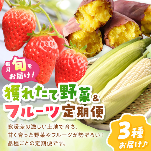 [野菜]旬野菜3回定期便|サツマイモ.ホワイトコーン.イチゴ