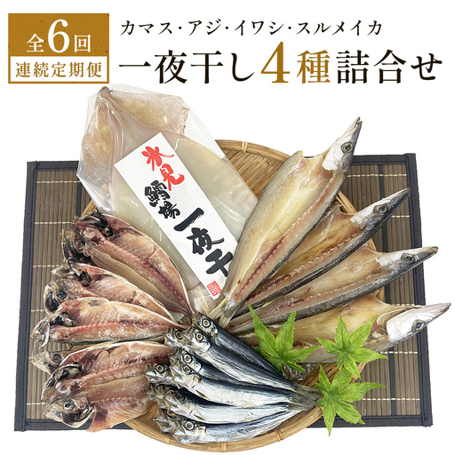【連続6回】一夜干し4種詰合せ定期便《カマス・アジ・イワシ・スルメイカ》 富山県 氷見市 定期便 干物 かます あじ 鰯 いわし いか おかず 一品