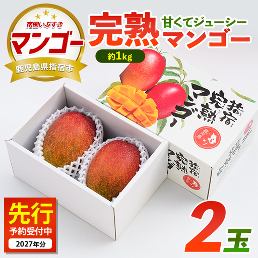 マンゴー 完熟 2玉 約1kg IB135-001 マンゴー