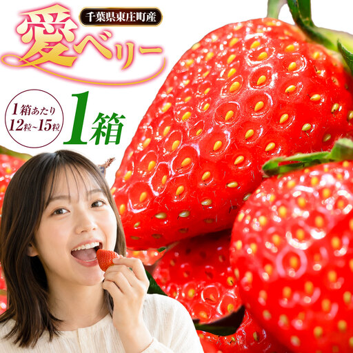 いちご アイベリー 愛ベリー 1箱 多田いちご園 いちご