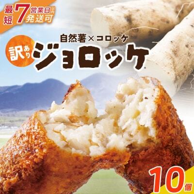 Z19-09 じねんじょコロッケ ジョロッケ 10個セット 自然薯 コロッケ