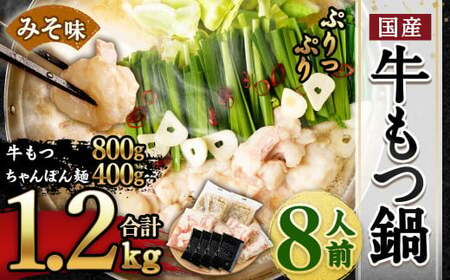 国産 牛もつ鍋 8人前 ちゃんぽん 濃縮スープ付(みそ味)