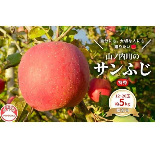 りんご サンふじ 特秀 5kg りんご