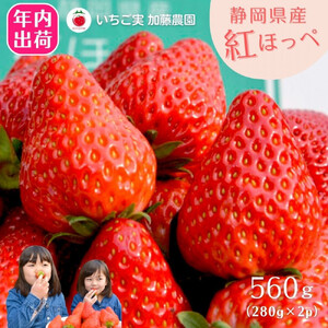 【2026年内お届け！！】静岡県産いちご 紅ほっぺ 280g×2パック（1パック12～15粒） 冷蔵配送【配送不可：北海道・沖縄・離島】 苺 フルーツ◇