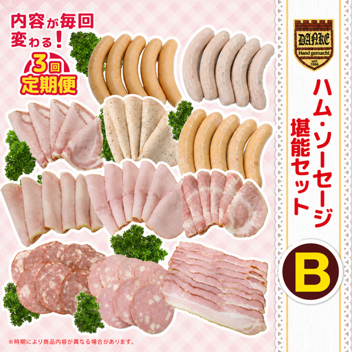 【定期便3回】ハム・ソーセージ堪能セットB | 栃木県 下野市
