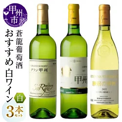 ワイン 蒼龍葡萄酒おすすめ白ワイン3本セット（MG）B19-489