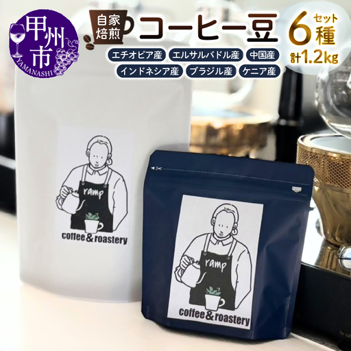 【ramp】自家焙煎 コーヒー豆 6種類 各200g 計1200g（MG）H-1560