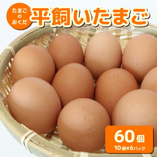 【平飼い たまご】 60個入【たまご 高知県 南国市】