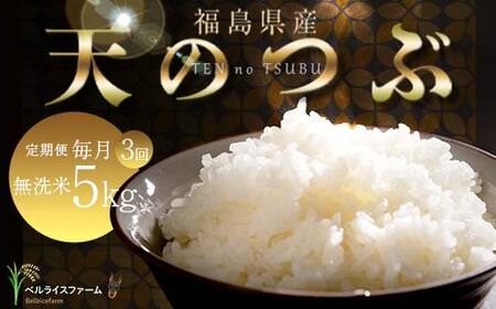 【お米の定期便 2026年2月より毎月3か月配送】農家直送 天のつぶ 無洗米 5kg 全3回 F6U-188