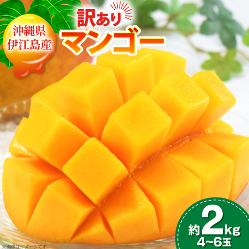 訳あり マンゴー  アーウィン種 約 2kg (4～6玉) 【期間限定発送】