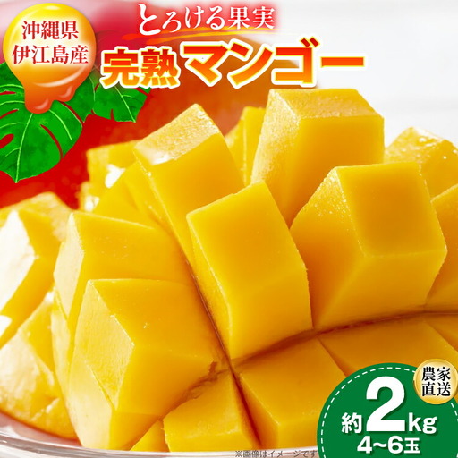 【2027年発送】 マンゴー 完熟 秀品 アーウィン種 約 2kg (4〜6玉)