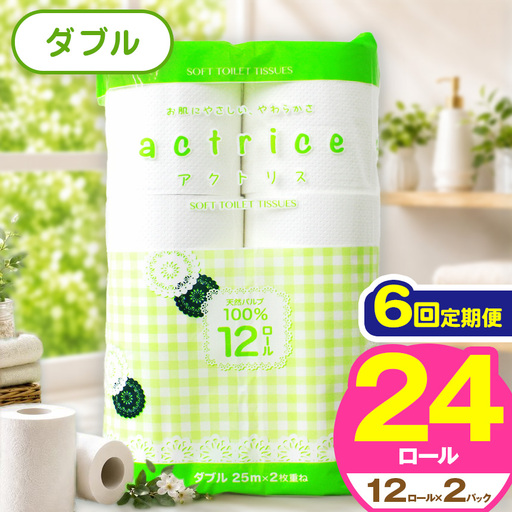 トイレット ペーパー ダブル 【 定期便6回 】 12ロール入り 2パック TH   | 栃木県 下野市