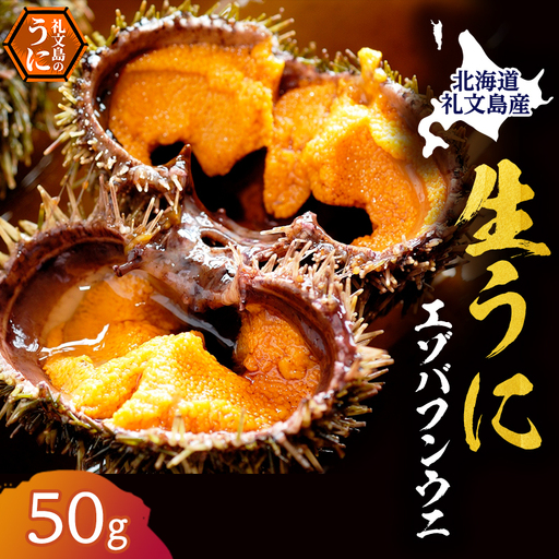 礼文産 エゾバフンウニ 塩水 50g×1 うに
