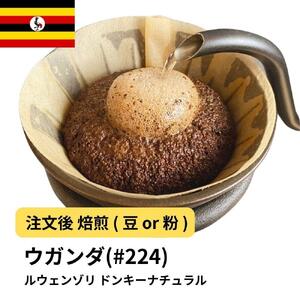 【豆】コーヒー #224 ウガンダ ルウェンゾリ ドンキーナチュラル 310g 当日焙煎 大山珈琲