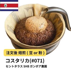 【粉】コーヒー #071 コスタリカ セントタラス SHB ガンボア農園 310g 当日焙煎 大山珈琲