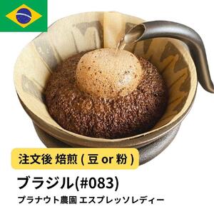 [粉]コーヒー #083 エスプレッソ レディー プラナウト農園 310g 当日焙煎 大山珈琲