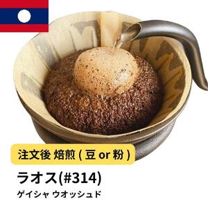 [粉]コーヒー #314 ラオス ゲイシャ100% ウオッシュド 310g 当日焙煎 大山珈琲