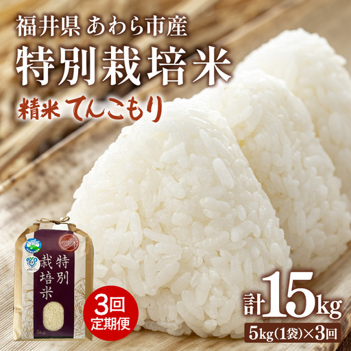 [先行予約][令和8年産]定期便 ≪3ヶ月連続お届け≫ 化学肥料不使用 てんこもり 精米 5kg × 3回(合計15kg) / 白米 米 福井県あわら市産 美味しい 特別栽培 減農薬 安心な 旨味 甘み もっちり 冷蔵保管 ※2026年10月上旬以降順次発送 [aw010-c028]