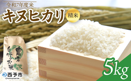 ＜令和7年度 米 キヌヒカリ 精米 5kg＞ 2025年産 きぬひかり お米 コメ こめ 白米 ご飯 ライス りの果樹園 愛媛県 西予市【常温】『2025年10月頃から順次出荷予定』URK0014
