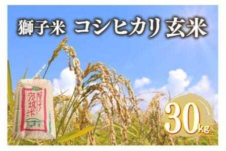 [令和7年産]獅子米 コシヒカリ 玄米 30kg(精米可) 岡田ファーム コンテスト受賞米 お おこめ ブランド こしひかり 30キロ 国産 単一原料 コメ こめ ご飯 銘柄米 茨城県産 茨城 産直 産地直送 農家直送 ごはん 家庭用 贈答用 お取り寄せ ギフト 茨城県 石岡市 (B02-004)