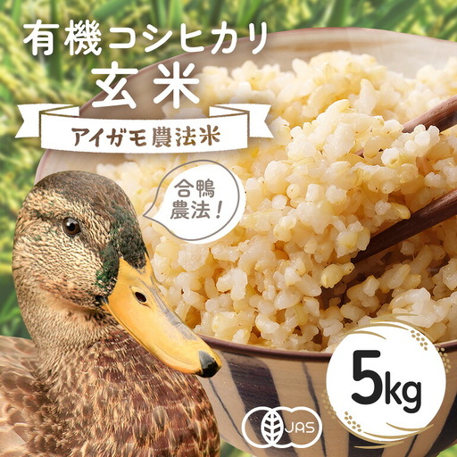 [令和8年産]有機 コシヒカリ 玄米 5kg 有機栽培 有機米 特別栽培米 合鴨農法 こしひかり お米 おこめ ブランド こしひかり 5キロ 国産 単一原料 コメ こめ ご飯 銘柄米 茨城県産 茨城 産直 産地直送 農家直送 ごはん 家庭用 贈答用 茨城県 石岡市 (B03-003)