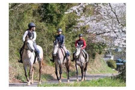乗馬体験 ( 場内騎乗 & 森林外乗 ) 約 2時間 1名 乗馬 初心者OK 写真撮影付き 馬 アクティビティ コース 体験 チケット 関東近辺 首都圏 茨城 里山 自然満喫 観光 旅行 ギフト リフレッシュ 茨城県 石岡市 (G02-003)