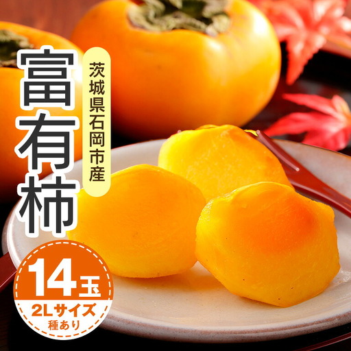 富有柿 2L 14玉(鈴木柿園) 柿 甘い柿 かき 富有カキ 甘い 果物 フルーツ くだもの カキ 富有かき 秋 旬 甘柿 糖度 贈答用 贈答品 ギフト 贈り物 品種 ブランド 11月 12月 発送 産地直送 農家直送 産直 茨城県 石岡市 (A08-002)