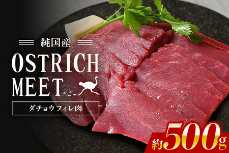ダチョウ フィレ肉 約500g ダチョウ肉 赤身肉 ヘルシー 低脂肪 低カロリー 高たんぱく質 鉄分 豊富 真空パック 上質 抗生物質不使用 成長ホルモン不使用 国産 ダイエット 健康志向 グルメ ギフト 産地直送 (C05-004)