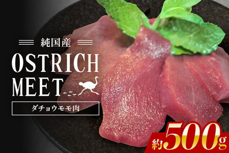 ダチョウ モモ肉 約500g ダチョウ肉 赤身肉 ヘルシー 低脂肪 低カロリー 高たんぱく質 鉄分 豊富 真空パック 上質 抗生物質不使用 成長ホルモン不使用 国産 ダイエット 健康志向 グルメ ギフト 産地直送 (C05-005)