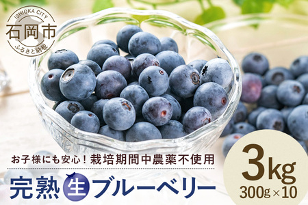 【 2026 年 先行予約 】元気に育った ブルーベリー 3kg 生 ( 300g 10パック ) 農薬 栽培期間中 不使用 果物 フルーツ 新鮮 3キロ 手摘み 国産 産地直送 農家直送 産直 個包装 小分け くだもの スムージー ジャム ヨーグルト デザート 茨城 茨城県 石岡市 (A11-004)