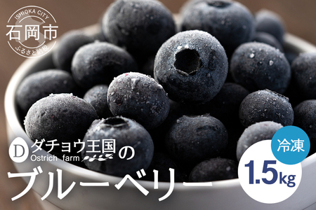 冷凍 ブルーベリー 1.5kg ダチョウ王国産 ( 500g 3パック ) 完熟 1.5キロ 果物 フルーツ 国産 産地直送 農家直送 産直 くだもの スムージー ジャム ヨーグルト デザート 茨城 茨城県 石岡市 (C05-002)