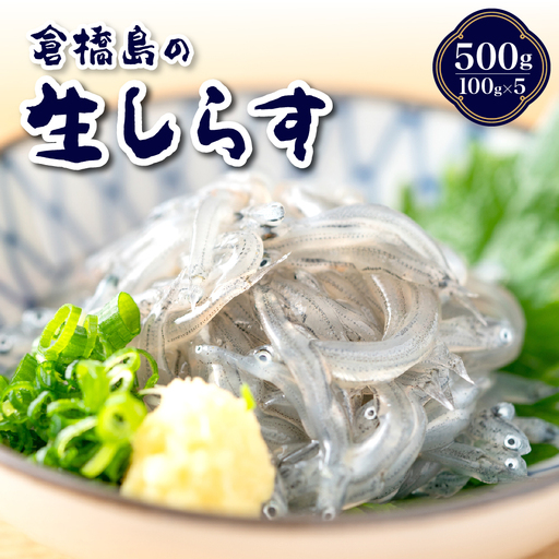 生シラス500g (100g×5個) 魚介 しらす 広島県 呉市