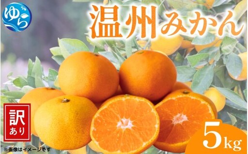 (訳あり)温州みかん 5kg / みかん ミカン 和歌山県 柑橘 甘い 蜜柑 フルーツ 果物 くだもの 食品 産地直送 由良町 ご家庭用 温州 温州ミカン ※11月中旬〜11月下旬頃に順次発送予定[kwgc004-c-5-nov]