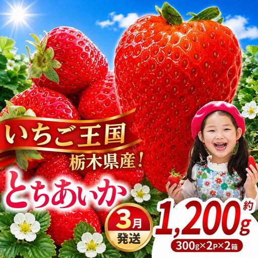 【先行予約】【期間限定】那珂川町産とちあいか 3月発送分 約300g×2×2 |いちご とちあいか ジューシー フルーティー 大きい 新鮮 甘い 美味しい 果物 共通返礼品 フルーツ デザート 栃木県 那珂川町 送料無料
