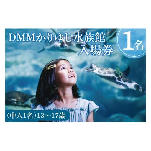 「DMMかりゆし水族館」入場券 中人1名(13〜17歳)